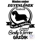 Cesky Terrier T-shirt - Cesky Terrier Shirt