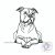 American Staffordshire Terrier T-shirt - Amstaff Shirt / Hoodie