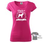 Appenzeller T-shirt - Appenzeller Shirt