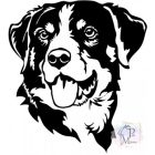 Appenzeller T-shirt - Appenzeller Shirt 