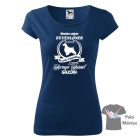 English Springer Spaniel T-shirt - English Springer Spaniel Shirt / Hoodie