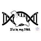 English Springer Spaniel T-shirt - English Springer Spaniel Shirt / Hoodie