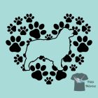 Australian Shepherd T-shirt - Aussie Tee