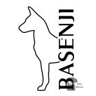 Basenji T-shirt - Basenji Shirt