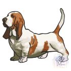 Basset Hound T-shirt - Basset Hound Shirt