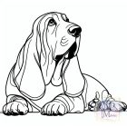 Basset Hound T-shirt - Basset Hound Shirt