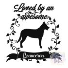 Beauceron T-shirt - Berger de beauce Shirt