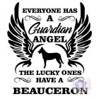 Beauceron T-shirt - Berger de beauce Shirt