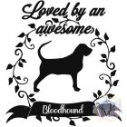 Bloodhound T-shirt - Bloodhound Shirt