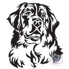 Bernese Mountain Dog T-shirt - Bernese Mountain Dog Shirt