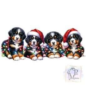   Cristmas Bernese Mountain Dog T-shirt - Bernese Mountain Dog Shirt