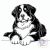 Bernese Mountain Dog T-shirt - Bernese Mountain Dog Shirt