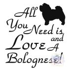 Bolognese T-shirt - Bolognese Shirt