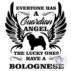 Bolognese T-shirt - Bolognese Shirt