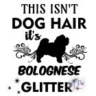 Bolognese T-shirt - Bolognese Shirt