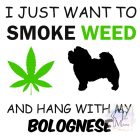 Bolognese T-shirt - Bolognese Shirt