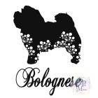 Bolognese T-shirt - Bolognese Shirt