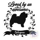 Bolognese T-shirt - Bolognese Shirt