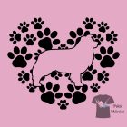 Border Collie T-shirt - Border Collie Shirt