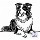 Border Collie T-shirt - Border Collie Shirt