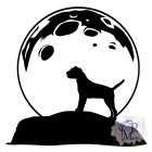 Border Terrier T-shirt - Border Terrier Shirt
