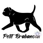 Brabancon T-shirt - Petit Brabancon Shirt
