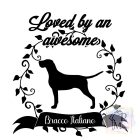 Bracco Italiano T-shirt - Bracco Italiano Shirt