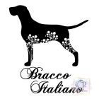 Bracco Italiano T-shirt - Bracco Italiano Shirt