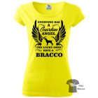 Bracco Italiano T-shirt - Bracco Italiano Shirt
