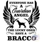 Bracco Italiano T-shirt - Bracco Italiano Shirt