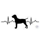 Bracco Italiano T-shirt - Bracco Italiano Shirt