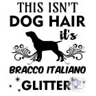 Bracco Italiano T-shirt - Bracco Italiano Shirt