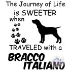 Bracco Italiano T-shirt - Bracco Italiano Shirt