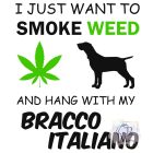 Bracco Italiano T-shirt - Bracco Italiano Shirt