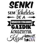 Bracco Italiano T-shirt - Bracco Italiano Shirt