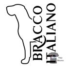 Bracco Italiano T-shirt - Bracco Italiano Shirt