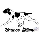 Bracco Italiano T-shirt - Bracco Italiano Shirt