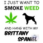 Brittany Spaniel T-shirt - Brittany Spaniel Shirt