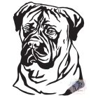 Bullmastiff T-shirt - Bullmastiff Shirt