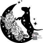 Bull Terrier T-shirt - BullTerrier Shirt