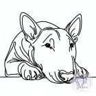 Bull Terrier T-shirt - Bull Terrier Shirt
