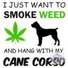 Cane Corso T-shirt - Cane Corso Shirt