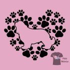 Cavalier King Charles Spaniel T-shirt - Cavalier King Charles Spaniel Shirt