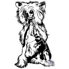 Chinese Crested T-shirt - Chinese Crested Shirt