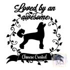Chinese Crested T-shirt - Chinese Crested Shirt