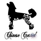 Chinese Crested T-shirt - Chinese Crested Shirt