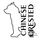Chinese Crested T-shirt - Chinese Crested Shirt