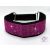Magenta Luxury Martingale Dog Collar with rhinestones