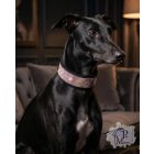 Pink Midnight Luxury Martingale Dog Collar with rhinestones - Rhinestone Bling Dog Collar