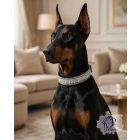Crystal Luxury Martingale Dog Collar with rhinestones - Rhinestone Bling Dog Collar